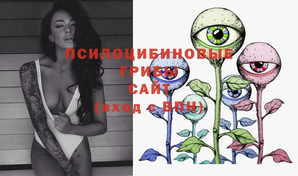 мет Рославль