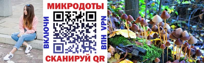 Псилоцибиновые грибы Magic Shrooms  Купить  Томилино 